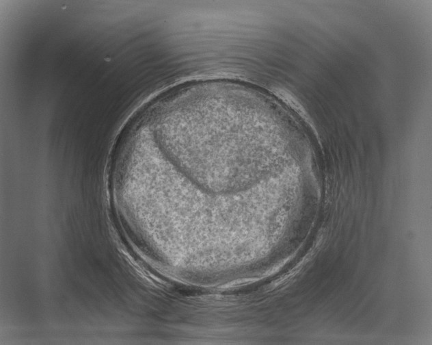 X0000073980789200609181715