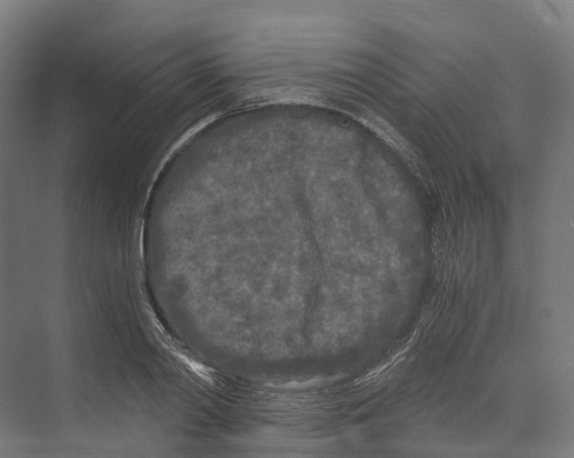 X0000073980790200609181715