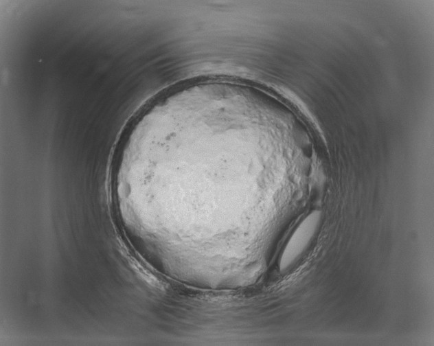 X0000073980791200609181715