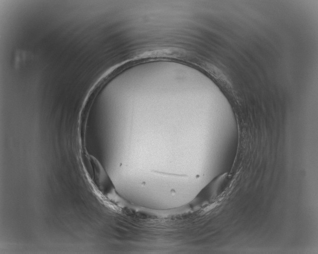 X0000073980792200609181715