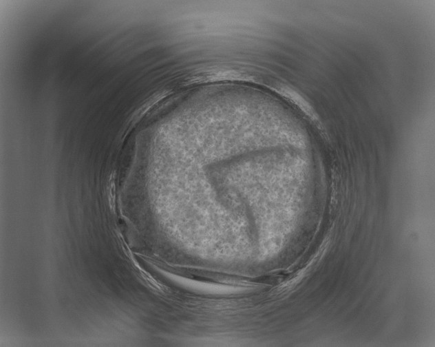 X0000073980793200609181715