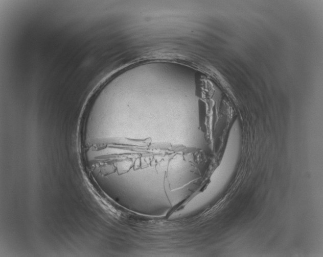 X0000073980795200609181715