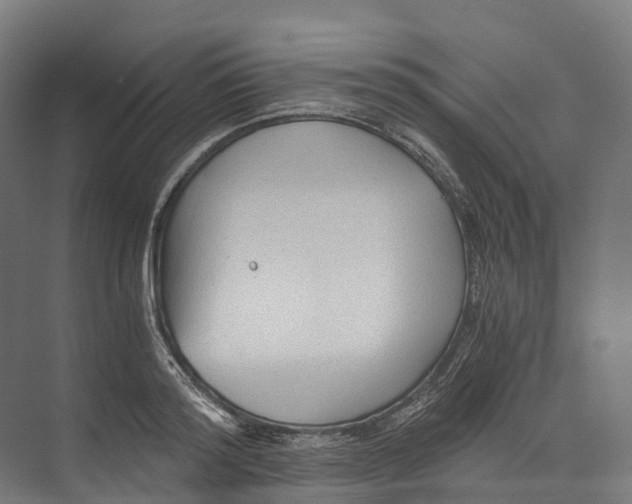 X0000073980796200609181715