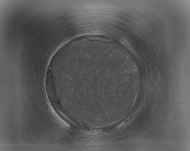 X0000073980797200609181715