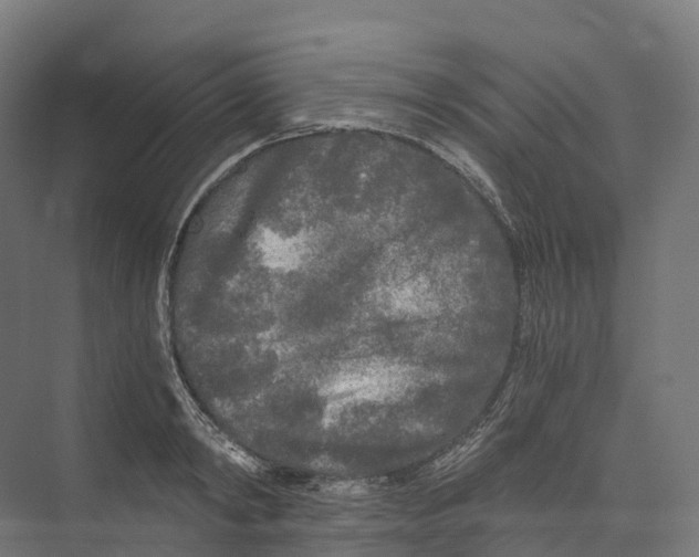 X0000073980798200609181715