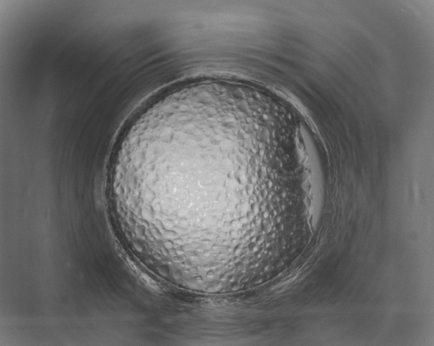 X0000073980799200609181715