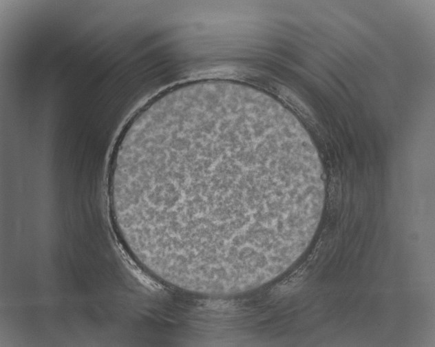 X0000073980800200609181715