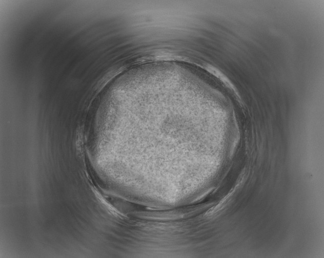 X0000073980801200609181715