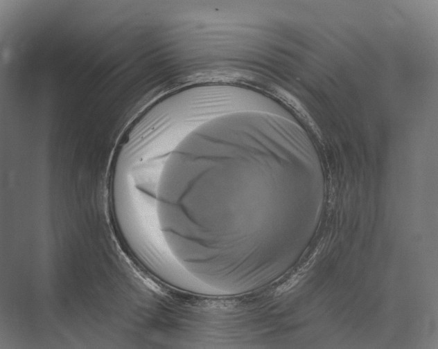 X0000073980802200609181715