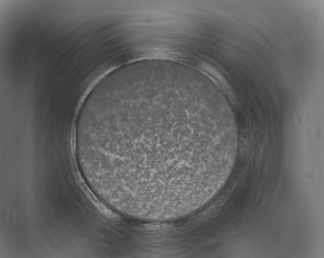 X0000073980804200609181715