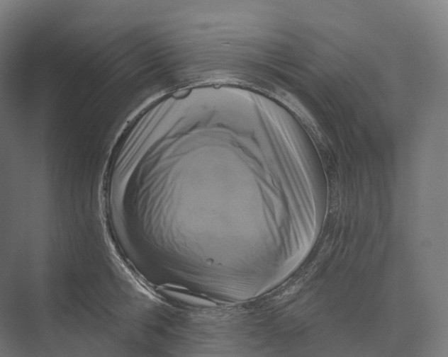 X0000073980806200609181715