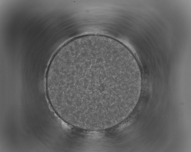 X0000073980807200609181715