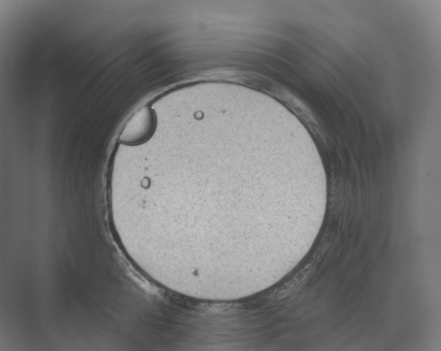 X0000073980808200609181715