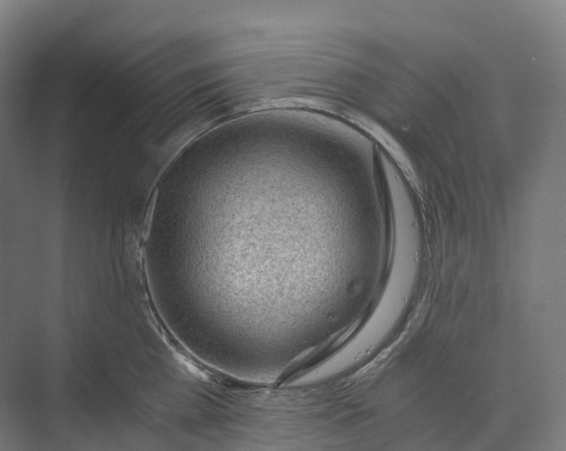 X0000073980809200609181715