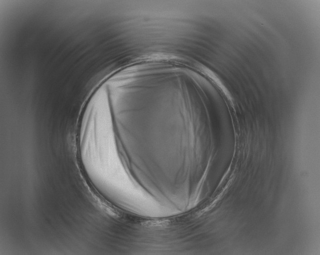 X0000073980810200609181715