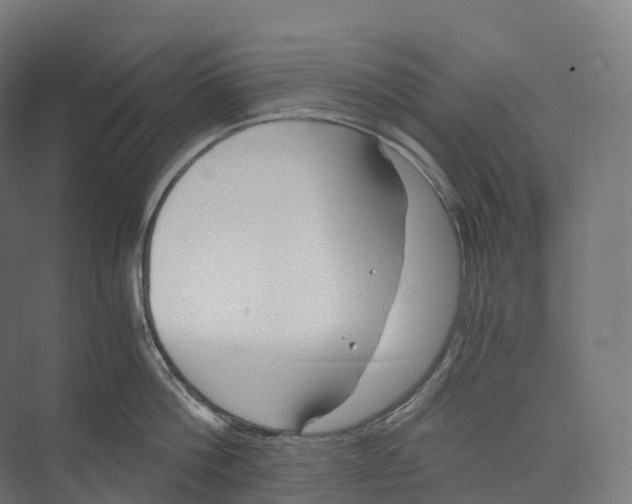 X0000073980812200609181715