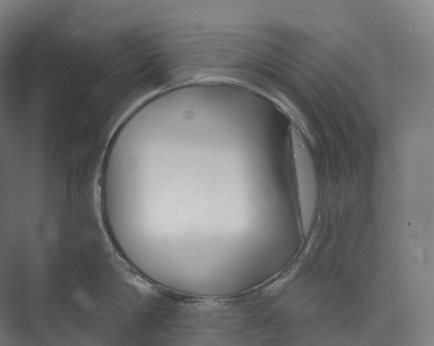 X0000073980814200609181715