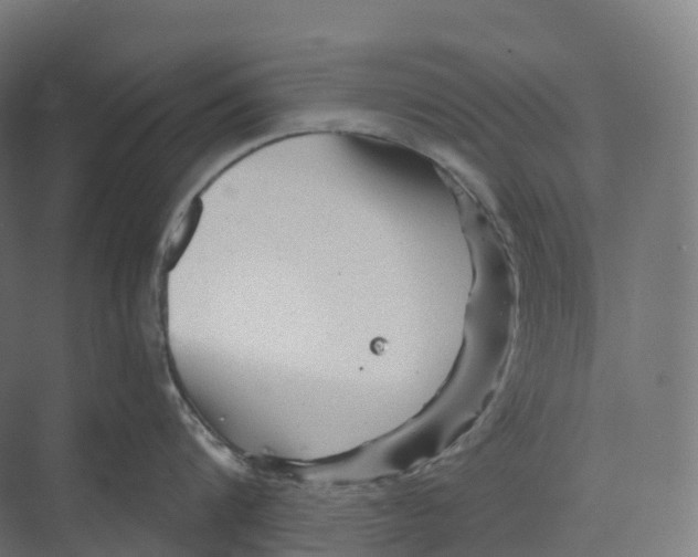 X0000073980816200609181715