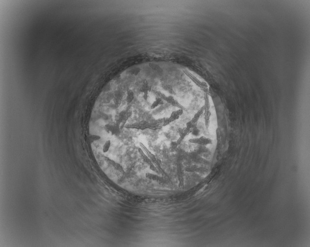 X0000073980817200609181714