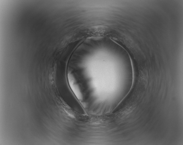 X0000073980818200609181714