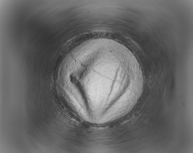 X0000073980821200609181714