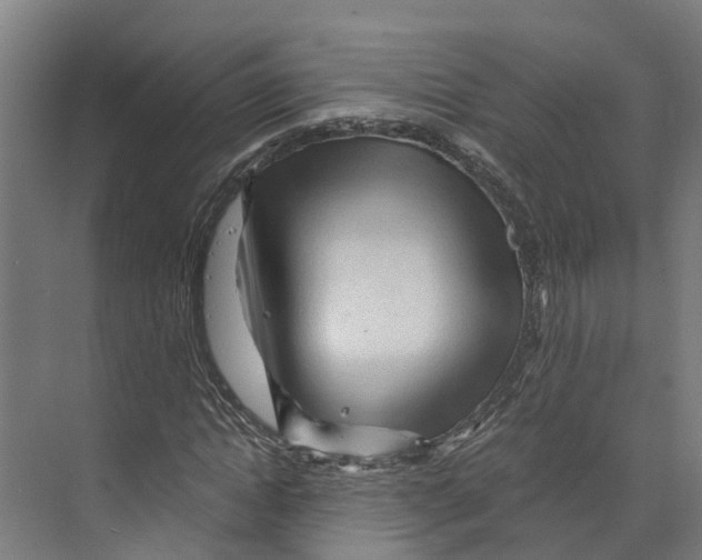 X0000073980822200609181714