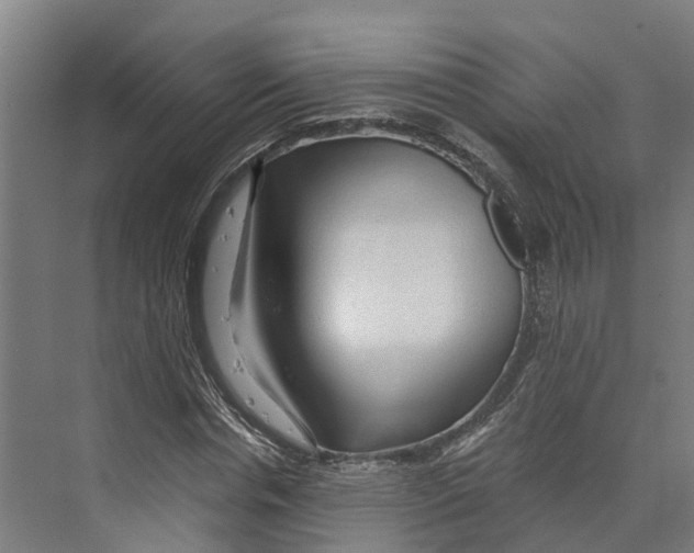 X0000073980826200609181714