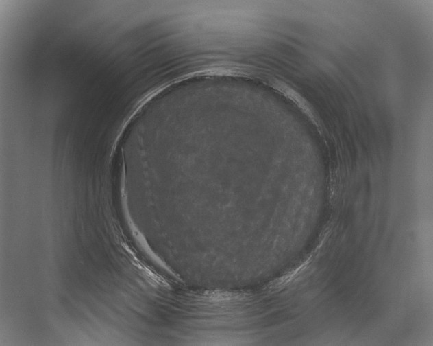 X0000073980829200609181714