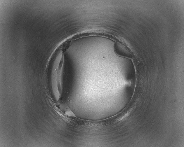 X0000073980830200609181714