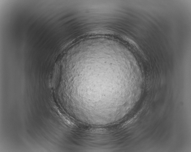 X0000073980833200609181714