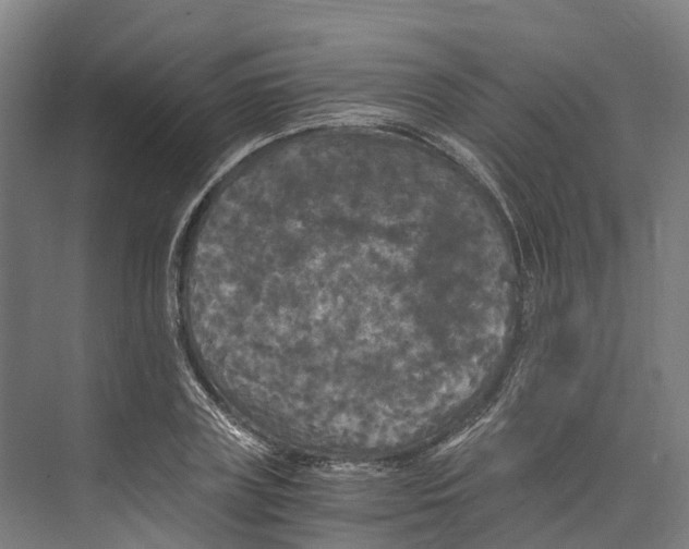 X0000073980835200609181714