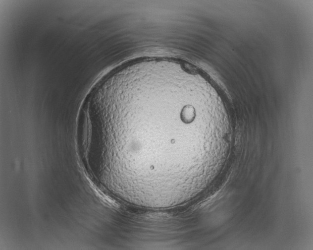 X0000073980837200609181714