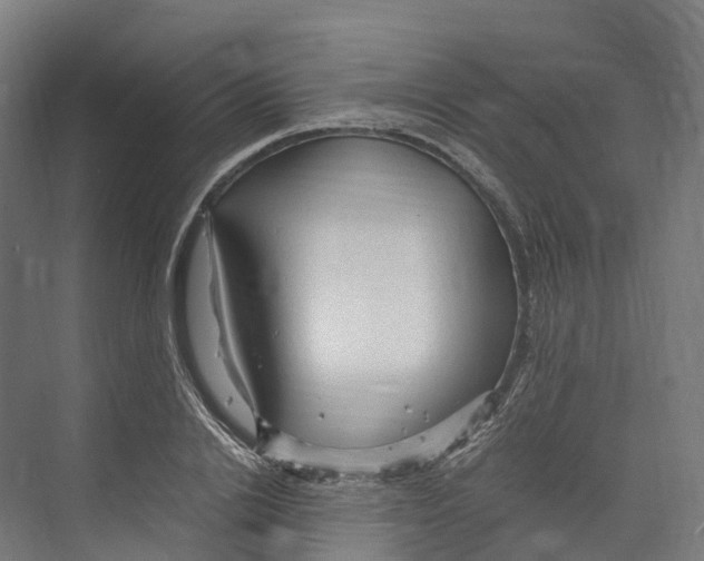 X0000073980838200609181714