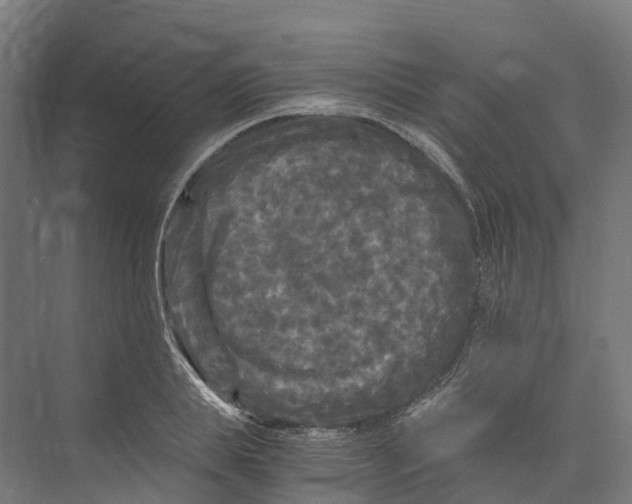 X0000073980839200609181714