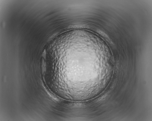 X0000073980841200609181714