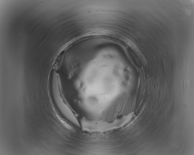 X0000073980842200609181714