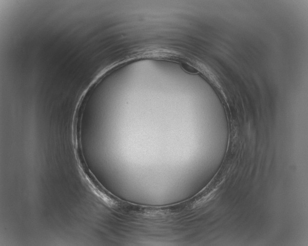 X0000073980843200609181714