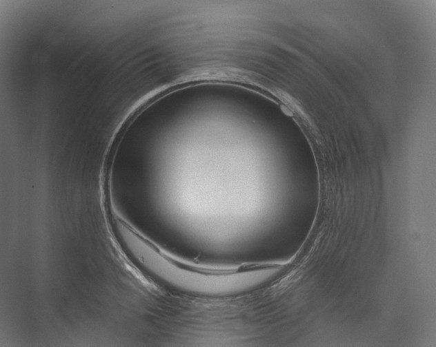 X0000073980846200609181714