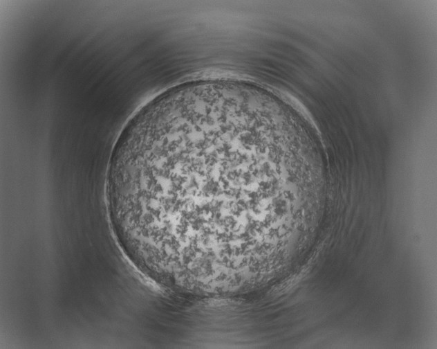 X0000073980847200609181714