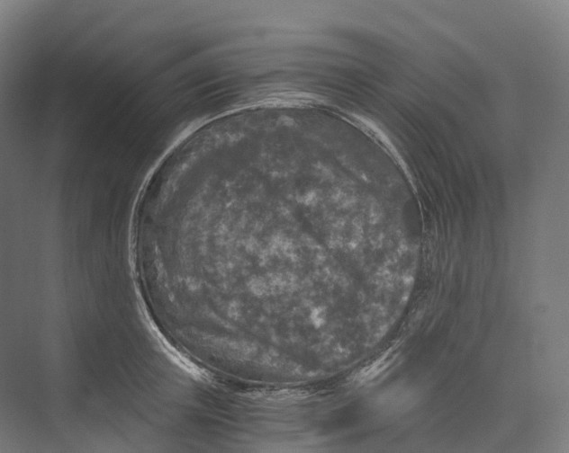 X0000073980851200609181714