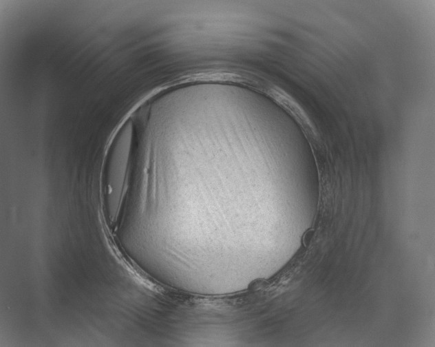 X0000073980852200609181714