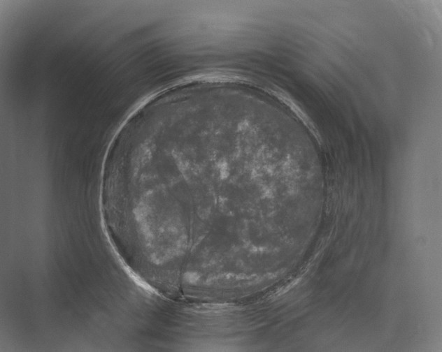 X0000073980853200609181714