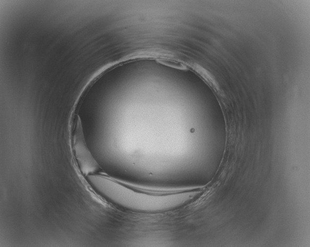 X0000073980854200609181714