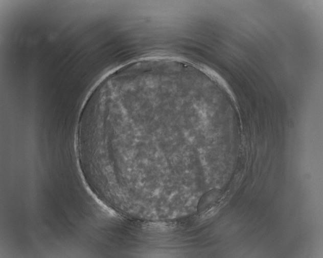 X0000073980855200609181714