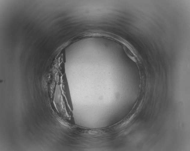 X0000073980857200609181714