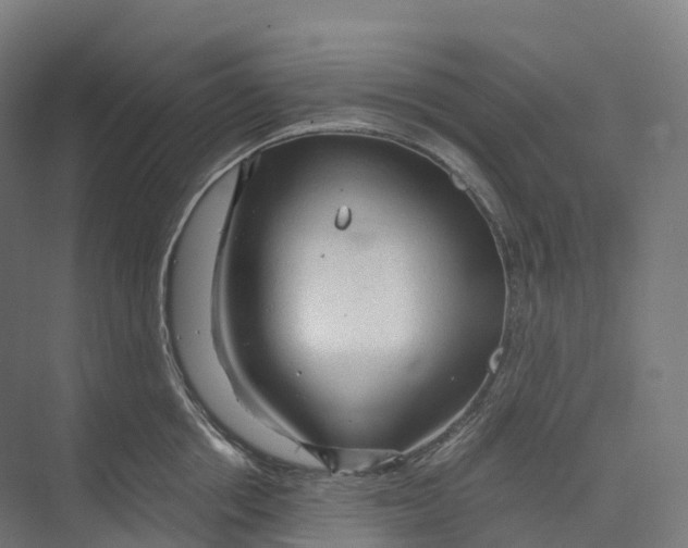 X0000073980858200609181714