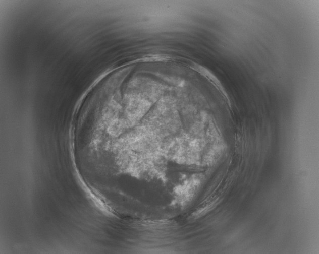 X0000073980859200609181715