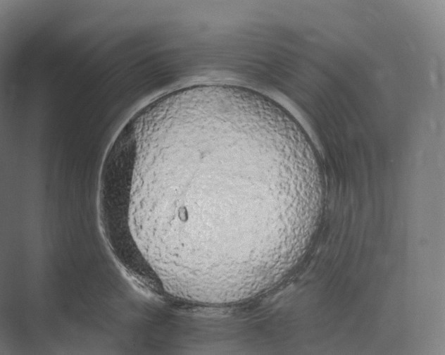 X0000073980861200609181715