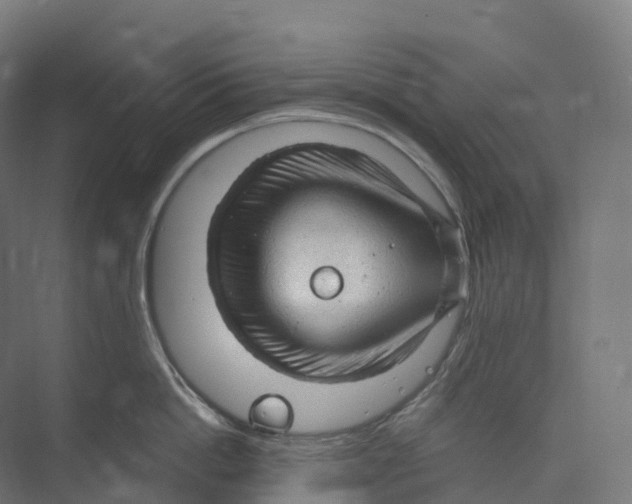 X0000073980862200609181715