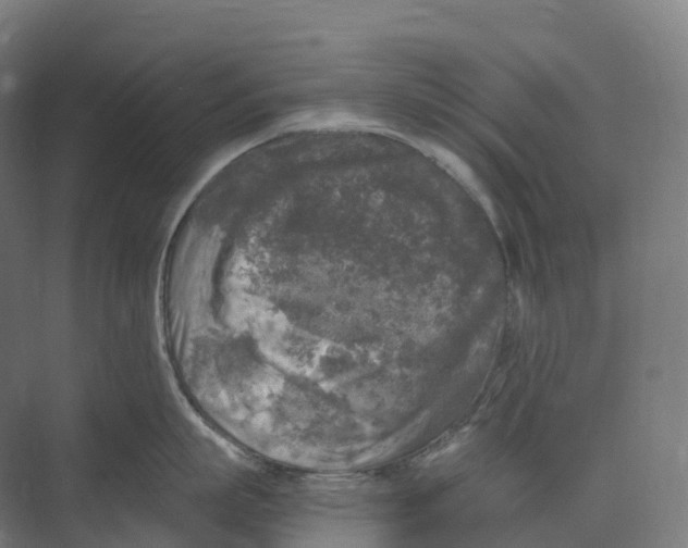 X0000073980863200609181715